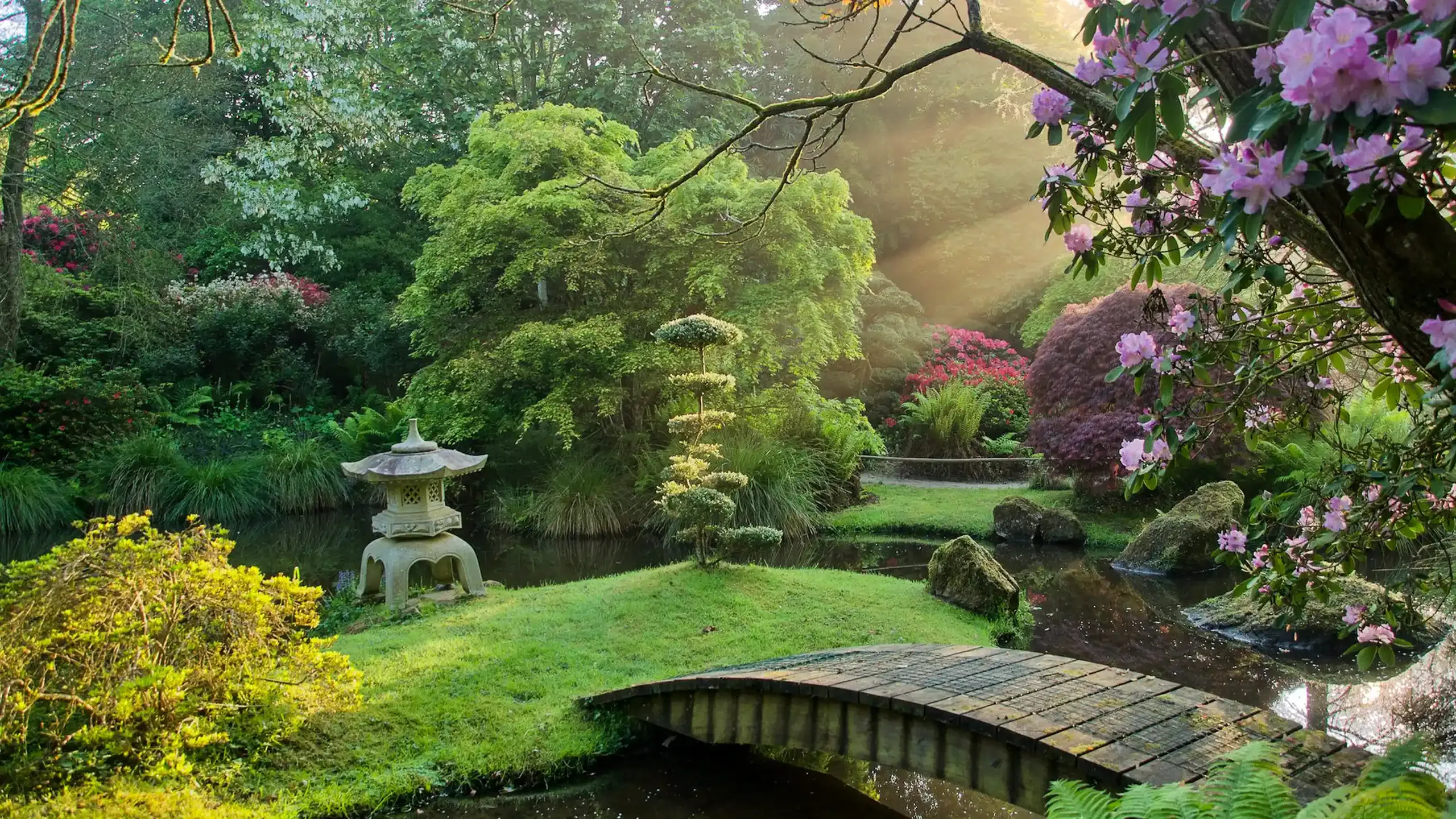 Jardin du soleil levant ©Alain Jouno