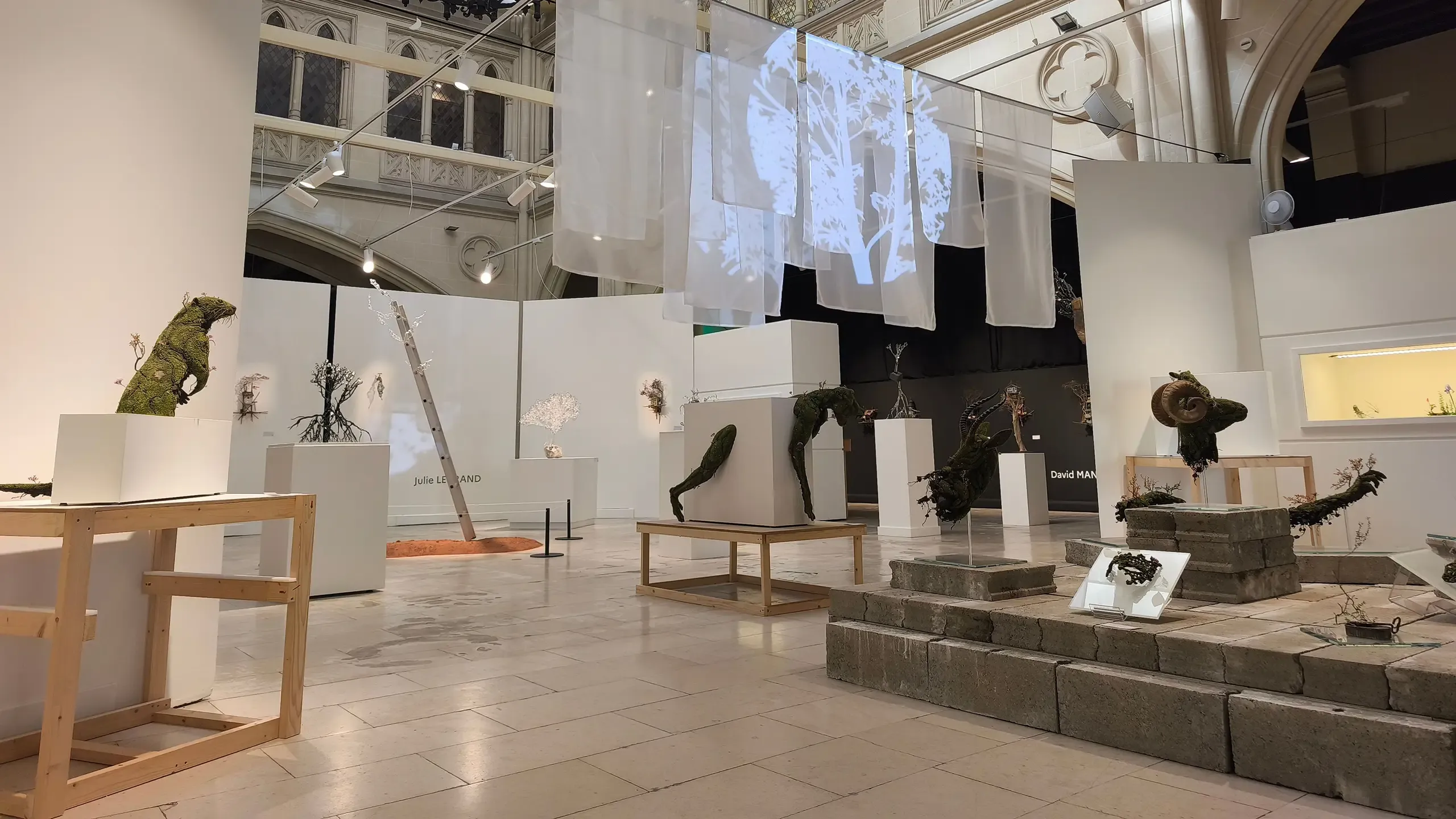 Visitez la Galerie Saint Jacques avec le Pass Patrimoine © Eva D'Ostuni