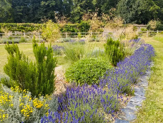 Jardin méllifère du Château de Villesavin en  Sologne à visiter avec le Pass Patrimoine © Véronique de Sparre