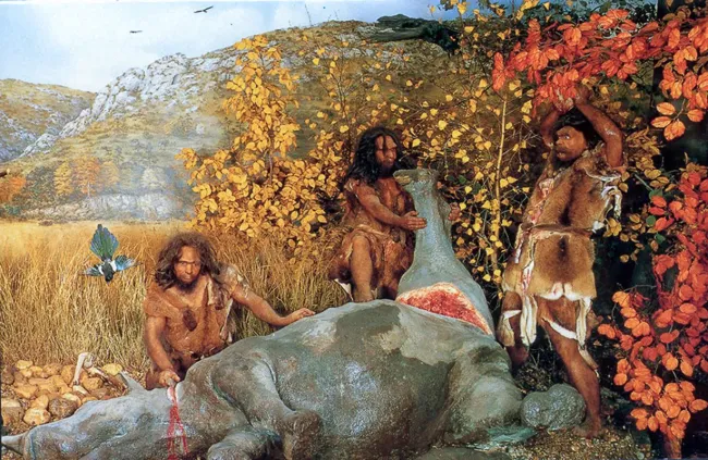 Diorama rhinocéros au musée de la Préhistoire de Tautavel © DA / EPCC