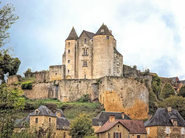 Vue du Château de Salignac ©Château de Salignac