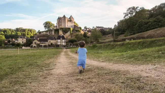 Vue du Château de Salignac depuis la vallée ©Château de Salignac