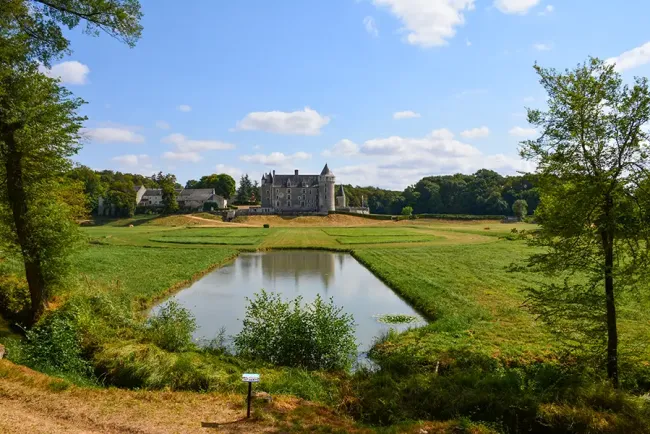 Promenade forestière du Château de Montpoupon © Quentin de Louvencourt