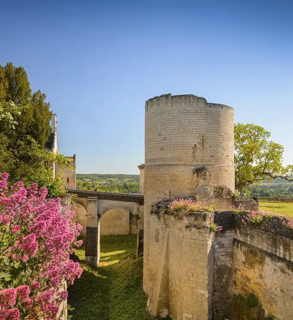 Tour du Coudray à la Forteresse royale de Chinon © Léonard de Serres