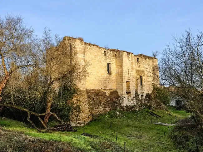 Vue sur la face est de la maison forte © Les gardiens de Montfaucon