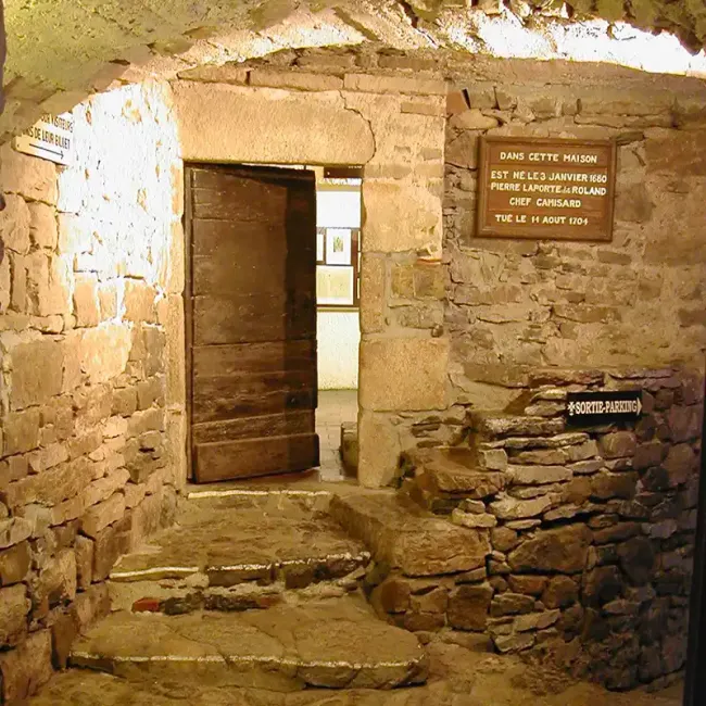 A1-©Musée du désert.webp