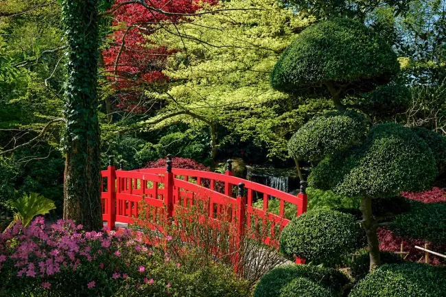 Jardin du soleil levant ©Calips