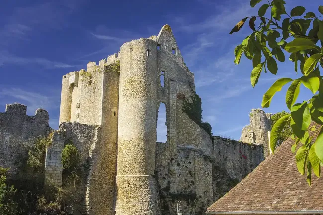Forteresse d'Angle sur l'Anglin,donjon forteresse ©SAS Deltour