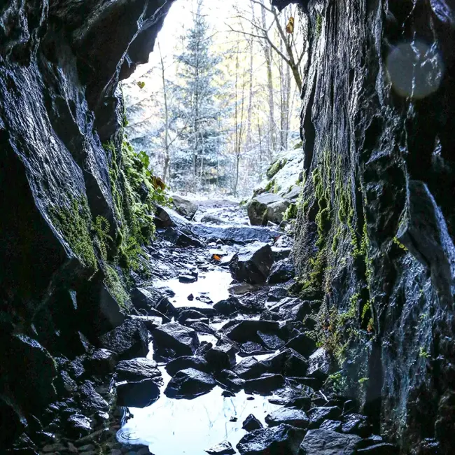 Hautes-Mynes © Les Hautes-Mynes