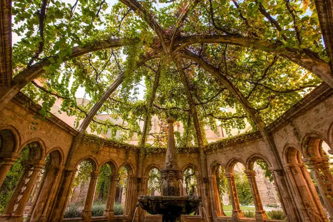 Abbaye de Valmagne, La fontaine lavabo ©Jean-François Remy