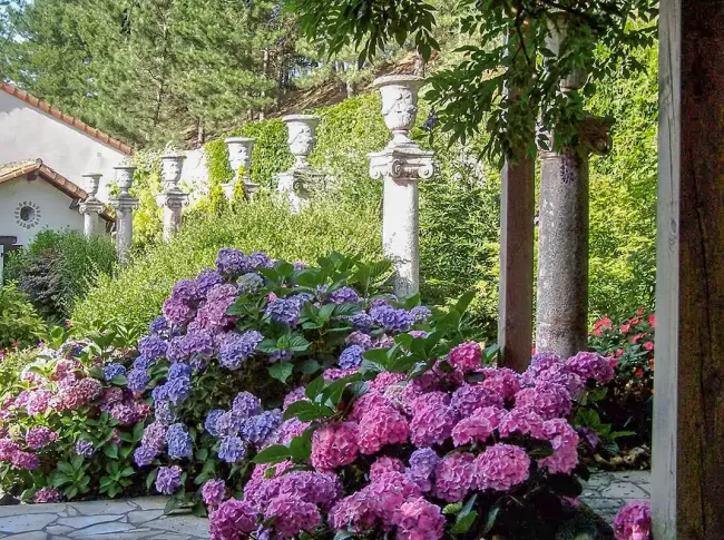 Jardins du Gué_Dans le Jardin des Arts hortensias ©Bernard Merlet