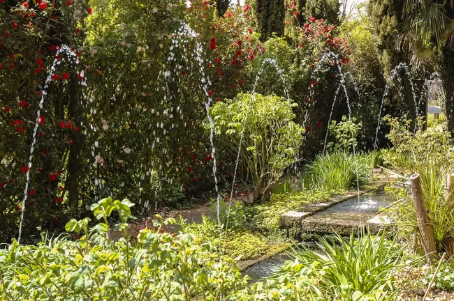 Le jardin des mille et une nuits ©Calips