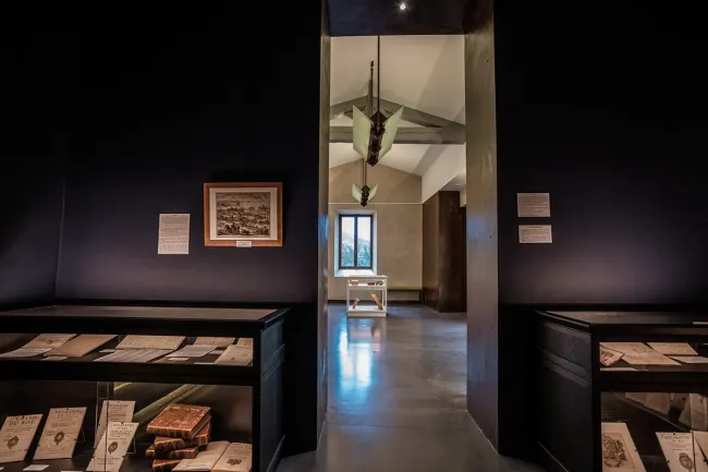 A3-©Musée du désert.webp