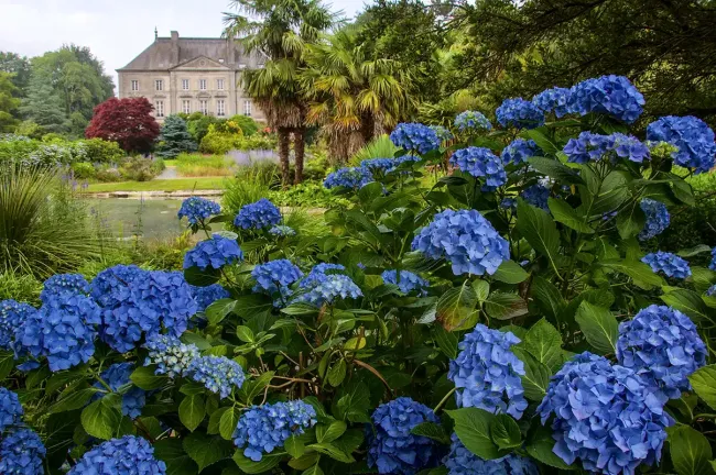 La source bleue ©Alain Jouno