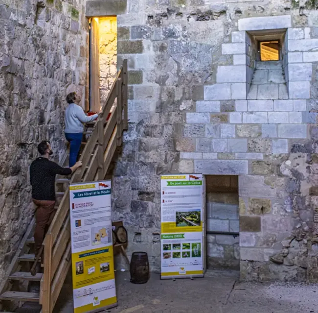 Espace d’exposition du Moulin des Tours © Albret Tourisme