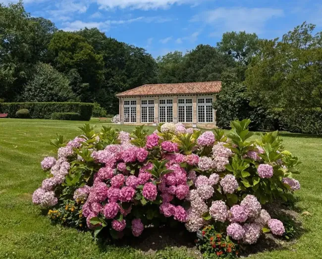Le parc du château d'Urtubie ©Odile de Coral