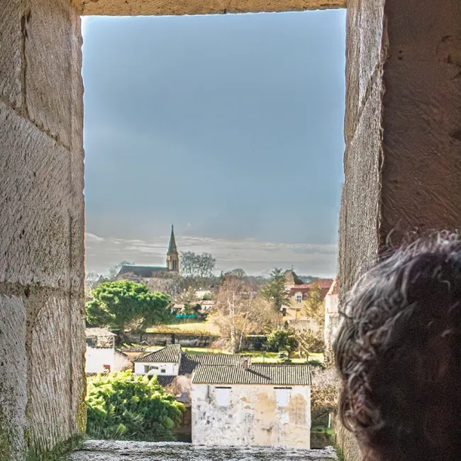 Panorama sur Barbaste © Albret Tourisme