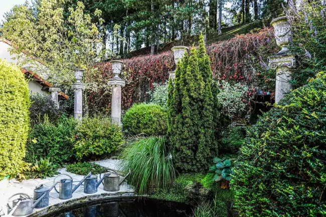 Jardins du Gué-Dans le Jardin des Arts ©Bernard Merlet