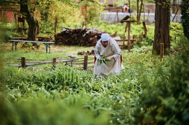 Travail dans les champs au musée ©Steeve Josch