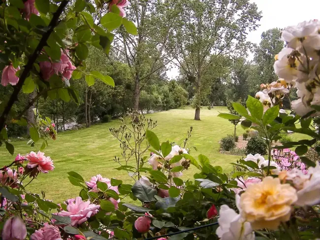Jardins du Gué-Jardins du Gue ©Guedeflais