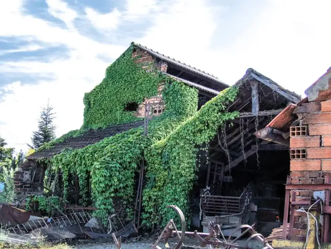 La façade du four de la Tuilerie de Lenax en 2020 © Agnès Denizot