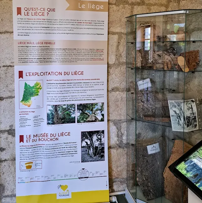 Espace sur le liège dans le Moulin des Tours