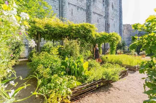 Jardin médiéval de la Cité royale de Loches © Stevens Fremont