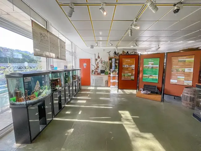 Histoire et évolution de la Seine à la Maison de la Pêche et de la Nature © Sandrine Armirail