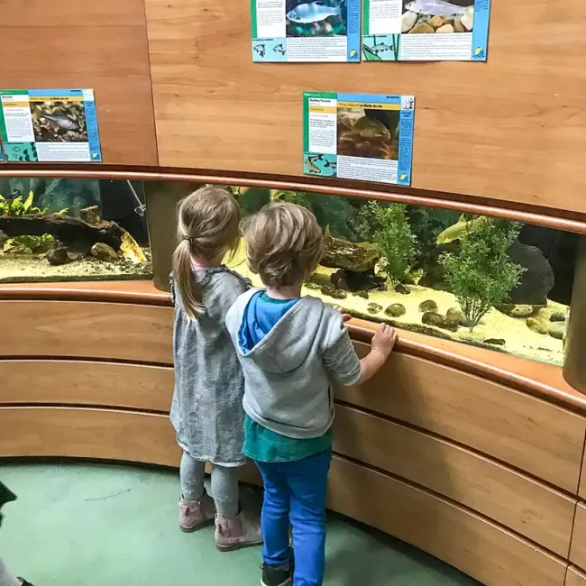 Musée-Aquarium de la Seine à la Maison de la Pêche et de la Nature © Sandrine Armirail