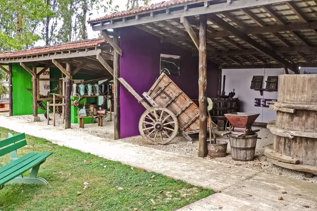 Espace La vigne et le vin réaménagé au musée du Paysan gascon © Musée du Paysan gascon