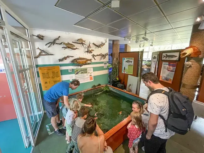 Musée-Aquarium de la Seine à la Maison de la Pêche et de la Nature © Sandrine Armirail