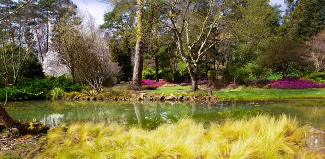 Arboretum des Grandes Bruyeres © Angelo Brathot, Public domain
