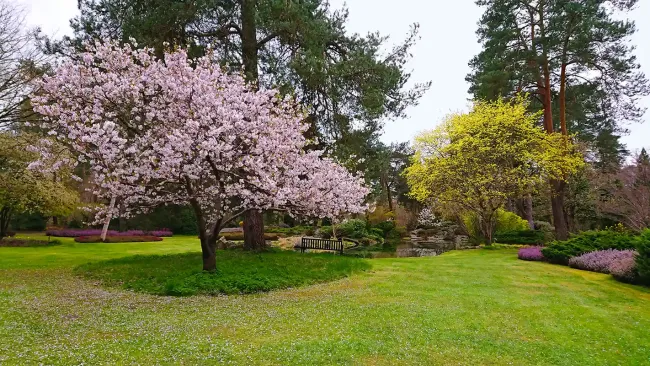 Arboretum des Grandes Bruyeres © Arboretum des Grandes Bruyeres