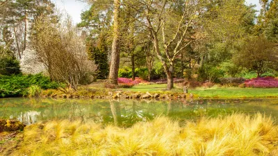Visitez l'Arboretum des Grandes Bruyères, dans le Loiret avec le Pass Patrimoine. ©Angelo Brathot from Sologne-France, Public domain