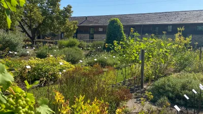 Visitez le Conservatoire National des Plantes à Parfum, Aromatiques et Médicinales en Essonne avec le Pass Patrimoine © Courson Ludivine