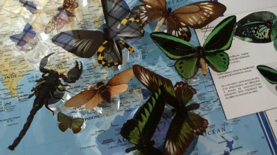 Visitez le Musée des papillon, dans l'Aisne, avec le Pass Patrimoine. © Agnès Villain
