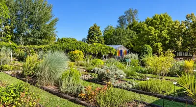 Visitez le Conservatoire National des Plantes à Parfum, Aromatiques et Médicinales, en Essonne, avec le Pass Patrimoine. © Ludivine Courson